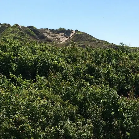 2 A 100 Ml De La Wifi Fibre *